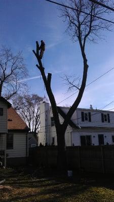 RNS Landscaping Solutions