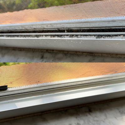 Fresh Sense Pro Cleaners