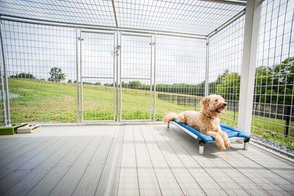 Enjoying the view on his deck!