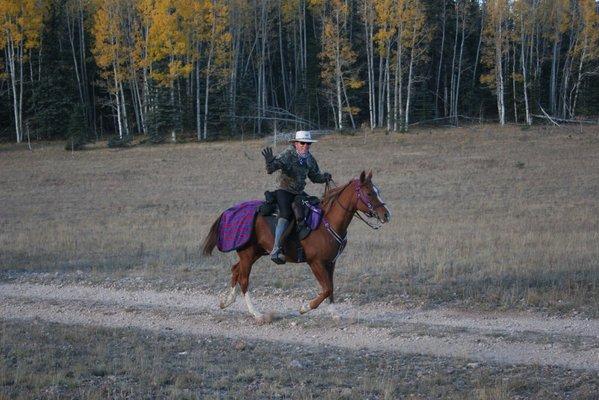 North Rim of Grand Canyon near Dry Park