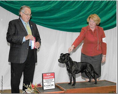 Home Sweet Home Pet Sitting