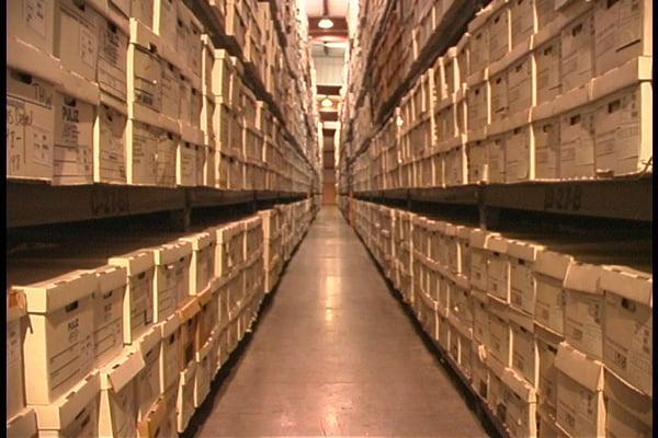 Puliz Records Management