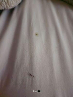 My bed was covered in black hair and a booger, the staff was wonderful though!