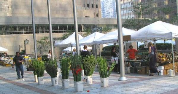 Prudential Plaza Farmer's Market