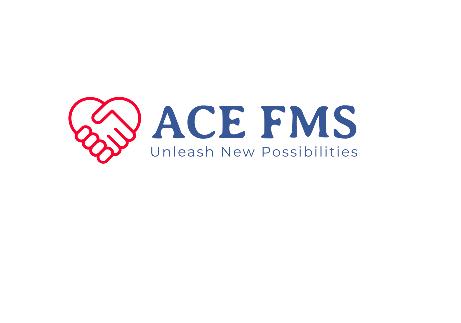 Ace Financial Management Service