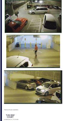 Tuscany Court Apartments