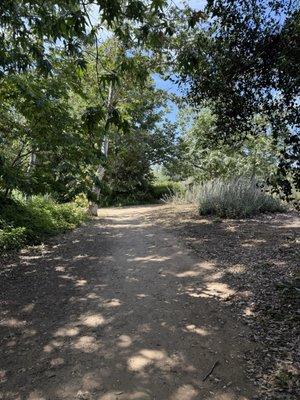 Los Jilgueros Preserve