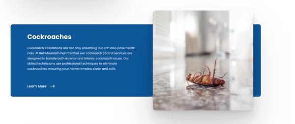 Bell Mountain Pest Control