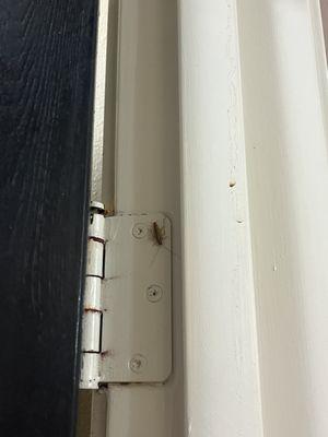 Found multiple roaches along with BED BUGS !!!
