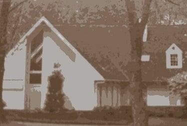 David J Johnson, PhD - Clinical Psychologist