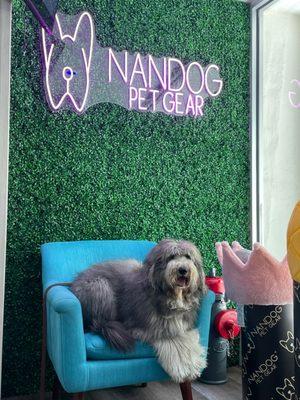 Nandog Pet Gear