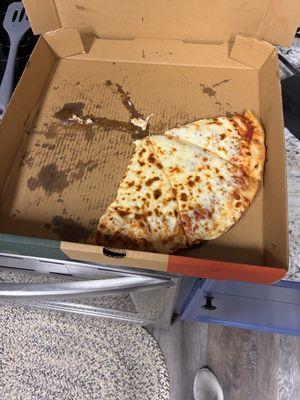 Plain Cheese Pizza, large