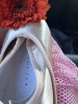 Pointe shoes