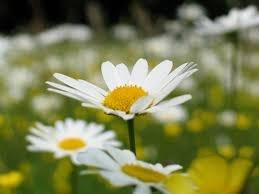 All My Brothers Moving And Storage