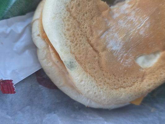 What's fuzzy, green and comes on a Carl's bun?!?