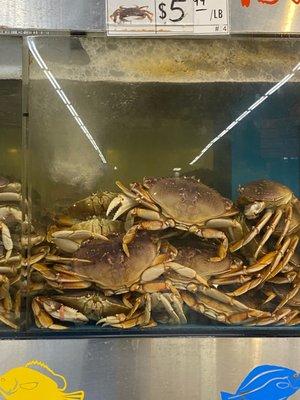Hong Kong Market