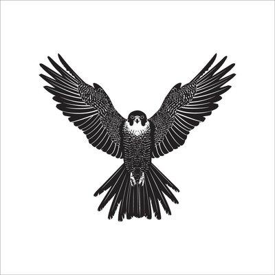 Falcon Quick Pick Up