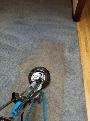 Cleaning Carpet with a power scrubber and hot water.  Clean vs Dirty area.