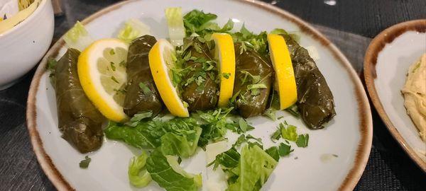 Photo Credit:TC. Dolmeh. Perfect.