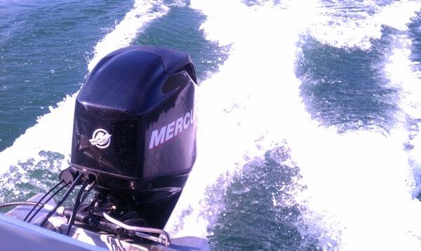 Jackson Mobile Marine