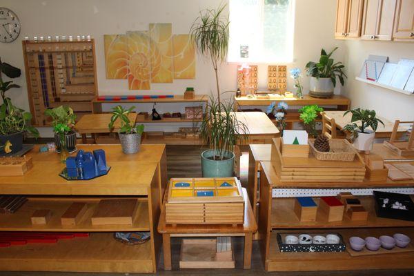 Montessori Community School