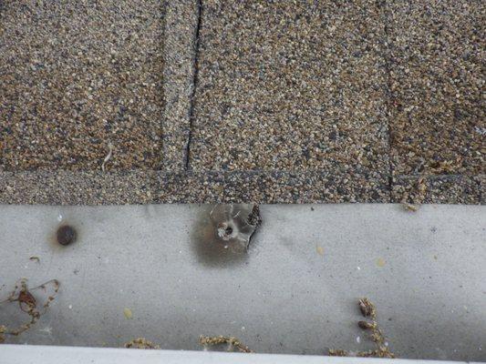 Timely Home Inspection