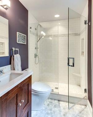 Frameless Shower Doors