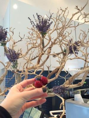 Mini bite-sized pastries