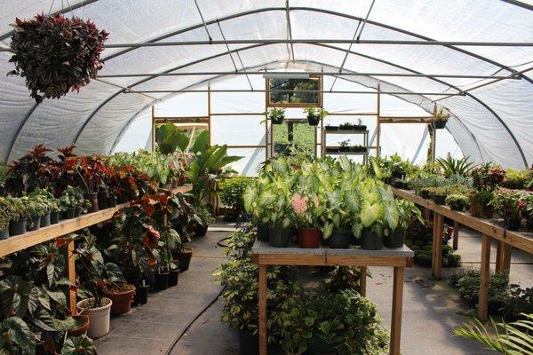 Mossy Corner Nursery & Country Market