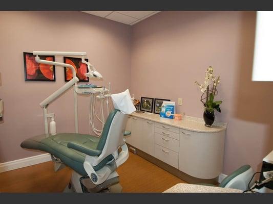 Bruce L Elkind, DDS, PA - Serene Dental Spa