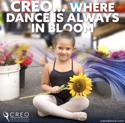 Passport to summer dance now available. Early Bird discounts apply.