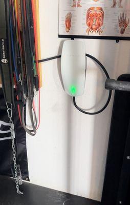 Thomas Dean Electrical