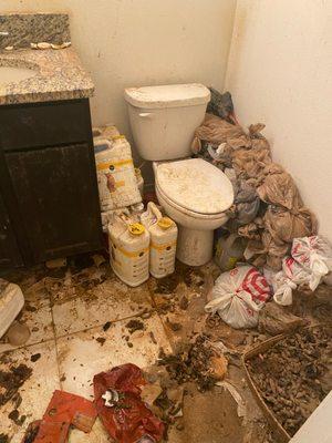 McKenzie’s Trash-Outs