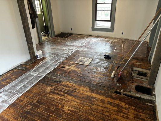 Downstream Restoration