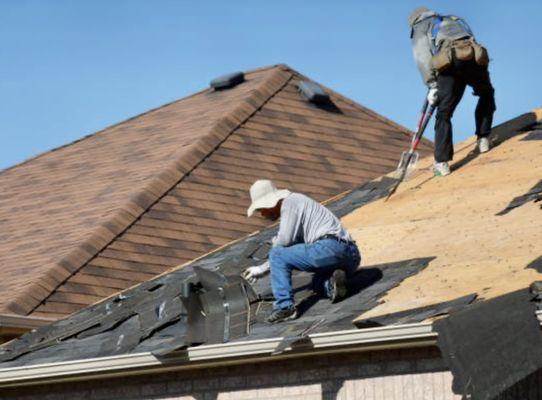 Core Vision Holdings