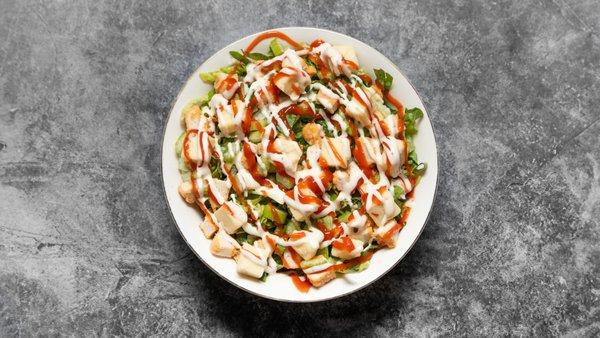Spice up your greens with a zesty buffalo chicken salad! Perfectly tangy and oh-so-satisfying!