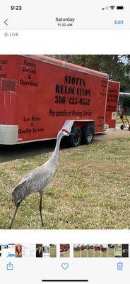 David Stotts Relocation