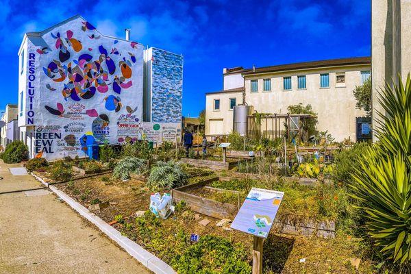 The Far Out West Garden