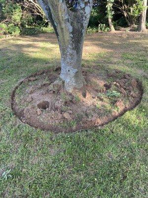 Dj Landscaping & Tree Services