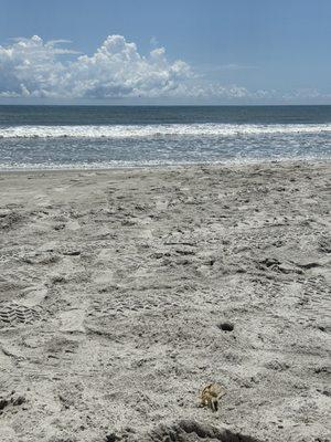 The Resort on Cocoa Beach