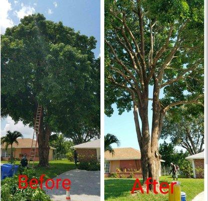 Robert's Tree Works