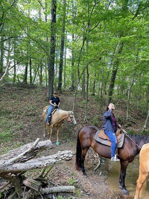 Painted Sky Ranch Riding School