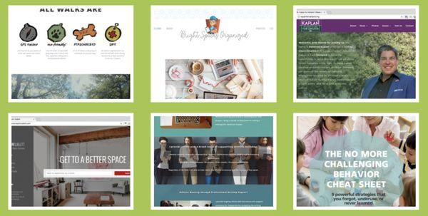 Recent work samples of web design, squarespace websites, and canva illustration templates. https://rowdyferretdesign.com/portfolio