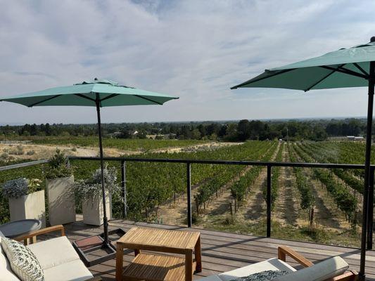 3100 Cellars