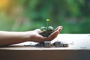 Buffalo Commercial Solutions