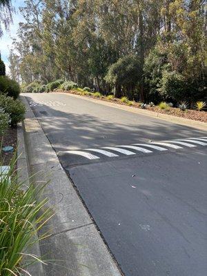 Black Diamond Paving