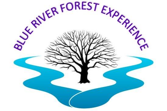 Blue River Forest Experience