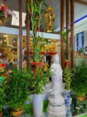 BC Alteration & Gifts