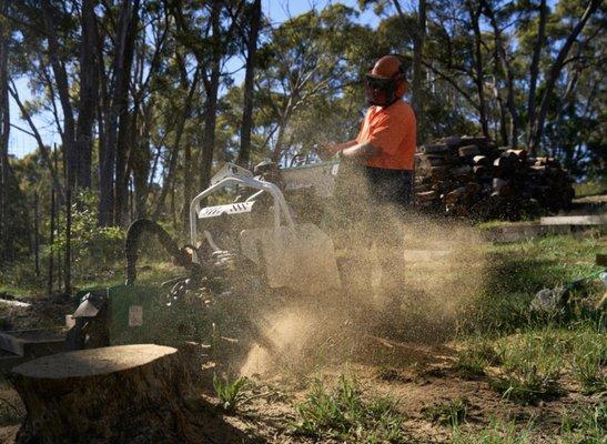 RI Tree Service Pros