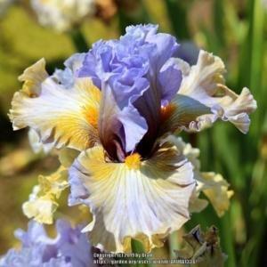 Legacy Garden Supply